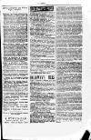Y Dydd Friday 29 December 1882 Page 15