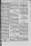 Y Dydd Friday 18 January 1889 Page 7