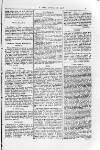 Y Dydd Friday 13 February 1891 Page 5