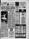 Beaconsfield Advertiser Wednesday 07 August 1991 Page 23