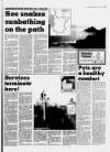 Torbay Express and South Devon Echo Saturday 07 March 1987 Page 17