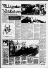 Torbay Express and South Devon Echo Saturday 15 August 1987 Page 13