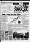 Torbay Express and South Devon Echo Saturday 01 October 1988 Page 17