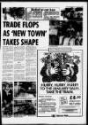 Torbay Express and South Devon Echo Wednesday 04 January 1989 Page 13