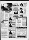 Torbay Express and South Devon Echo Friday 02 June 1989 Page 45