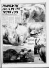 Torbay Express and South Devon Echo Friday 02 June 1989 Page 47