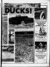 Torbay Express and South Devon Echo Friday 01 September 1989 Page 47
