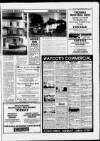 Torbay Express and South Devon Echo Wednesday 01 November 1989 Page 17