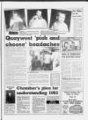 Torbay Express and South Devon Echo Thursday 02 January 1992 Page 17