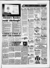 Torbay Express and South Devon Echo Saturday 18 January 1992 Page 17