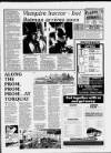 Torbay Express and South Devon Echo Friday 03 July 1992 Page 19