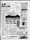 Torbay Express and South Devon Echo Saturday 04 July 1992 Page 19