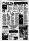 Sandwell Evening Mail Monday 23 January 1995 Page 19