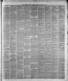 Liverpool Weekly Mercury Saturday 22 January 1876 Page 3