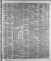 Liverpool Weekly Mercury Saturday 15 April 1876 Page 3