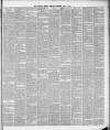 Liverpool Weekly Mercury Saturday 03 March 1877 Page 3
