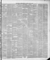 Liverpool Weekly Mercury Saturday 17 March 1877 Page 3