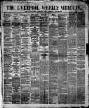 Liverpool Weekly Mercury Saturday 04 January 1879 Page 1