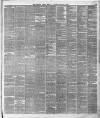 Liverpool Weekly Mercury Saturday 10 January 1880 Page 3