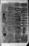 Bath Argus Friday 04 October 1878 Page 5