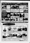 Billericay Gazette Friday 05 September 1986 Page 19