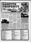 Billericay Gazette Friday 31 July 1987 Page 15