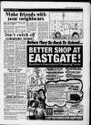 Billericay Gazette Friday 28 August 1987 Page 7