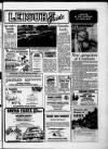 Billericay Gazette Friday 28 August 1987 Page 15