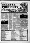 Billericay Gazette Friday 28 August 1987 Page 17