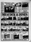 Billericay Gazette Thursday 04 February 1993 Page 29