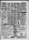 Billericay Gazette Thursday 18 March 1993 Page 51