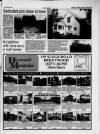 Billericay Gazette Thursday 29 April 1993 Page 29