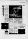 Billericay Gazette Thursday 05 August 1993 Page 25