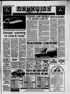 Billericay Gazette Thursday 19 August 1993 Page 45