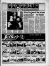 Billericay Gazette Thursday 14 October 1993 Page 23