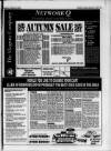 Billericay Gazette Thursday 21 October 1993 Page 53