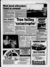 Billericay Gazette Thursday 30 December 1993 Page 5