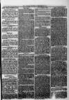 Evening Express Telegram (Cheltenham) Wednesday 14 February 1877 Page 3