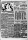 Evening Express Telegram (Cheltenham) Saturday 24 March 1877 Page 3