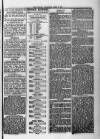 Evening Express Telegram (Cheltenham) Tuesday 03 April 1877 Page 3