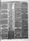 Evening Express Telegram (Cheltenham) Tuesday 10 April 1877 Page 3