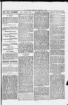 Evening Express Telegram (Cheltenham) Wednesday 09 January 1878 Page 3
