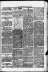 Evening Express Telegram (Cheltenham) Wednesday 10 July 1878 Page 3