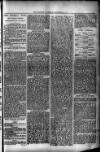 Evening Express Telegram (Cheltenham) Tuesday 03 December 1878 Page 3