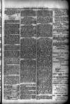 Evening Express Telegram (Cheltenham) Wednesday 18 December 1878 Page 3