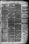 Evening Express Telegram (Cheltenham) Monday 23 December 1878 Page 3