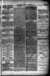 Evening Express Telegram (Cheltenham) Tuesday 24 December 1878 Page 3