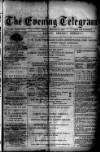 Evening Express Telegram (Cheltenham) Tuesday 31 December 1878 Page 1