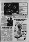 Greenford & Northolt Gazette Friday 16 July 1976 Page 17