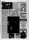 Greenford & Northolt Gazette Friday 29 December 1995 Page 7